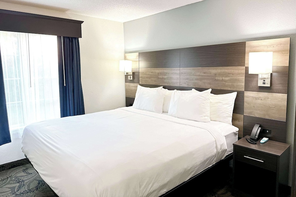 Basic Suite, 1 King Bed with Sofa bed, Non Smoking - Photo 1