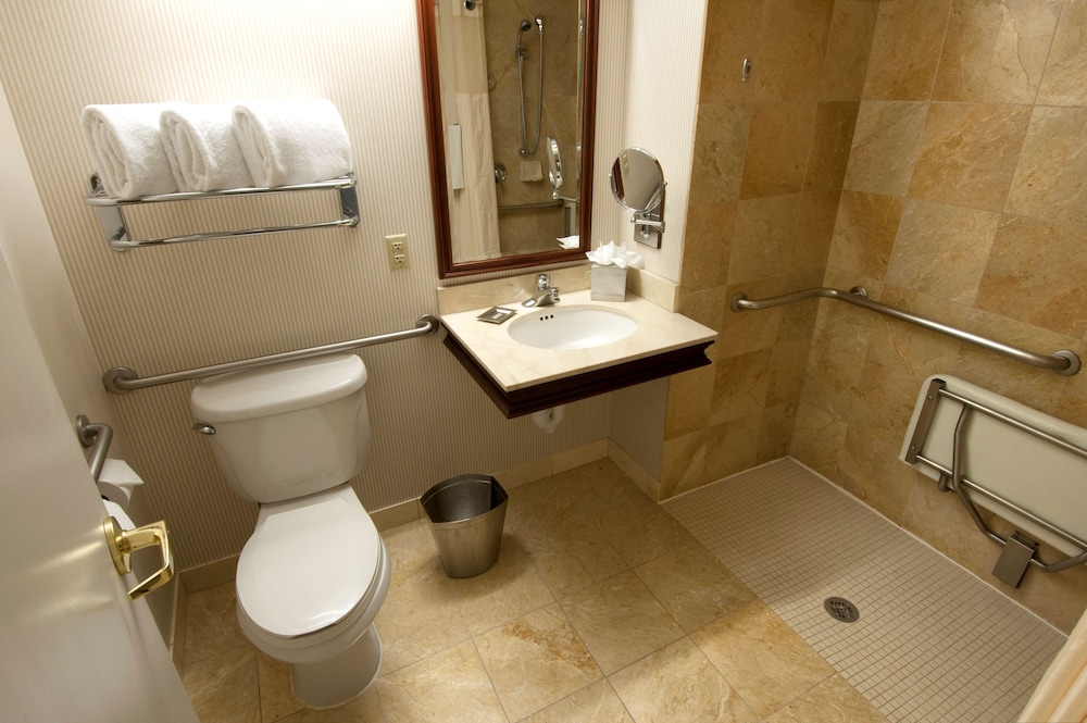 Room, Accessible (Roll-in Shower) - Photo 6