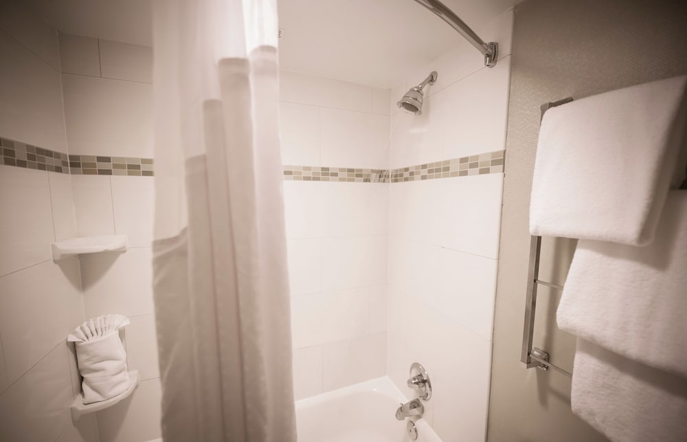Holiday Inn Raleigh Downtown, an IHG Hotel, Bilde 3