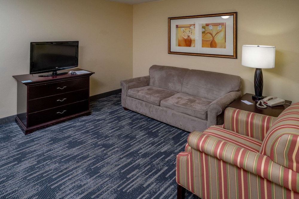 Suite, 1 Bedroom, Non Smoking - Photo 6