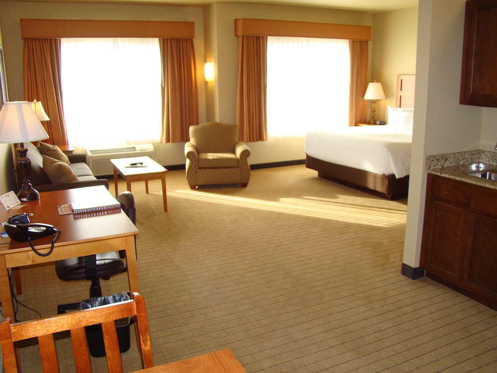 Deluxe Room, 1 King Bed with Sofa bed, Kitchen (Large King Studio Half Kitchen) photo 2