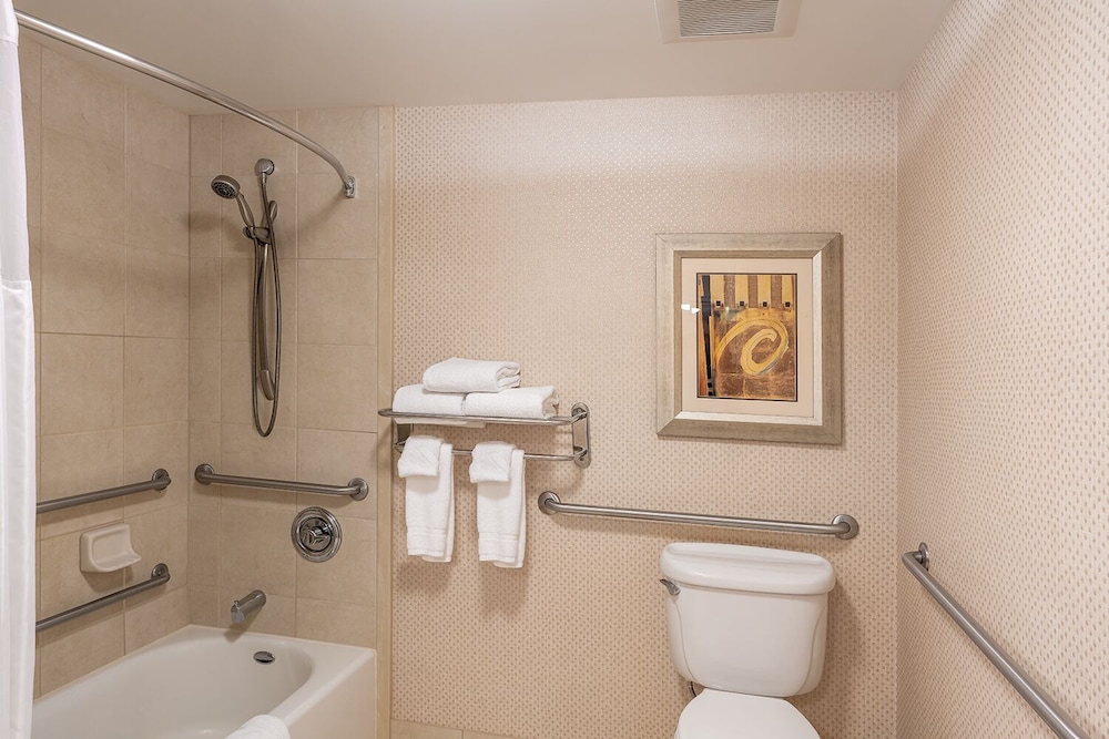 Suite, 1 King Bed, Accessible - Photo 7