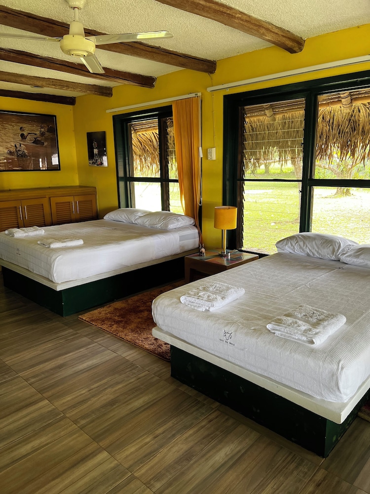 Room, Garden View photo 2