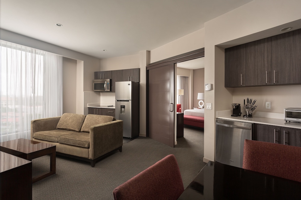 Suite, 1 Bedroom, City View photo 2