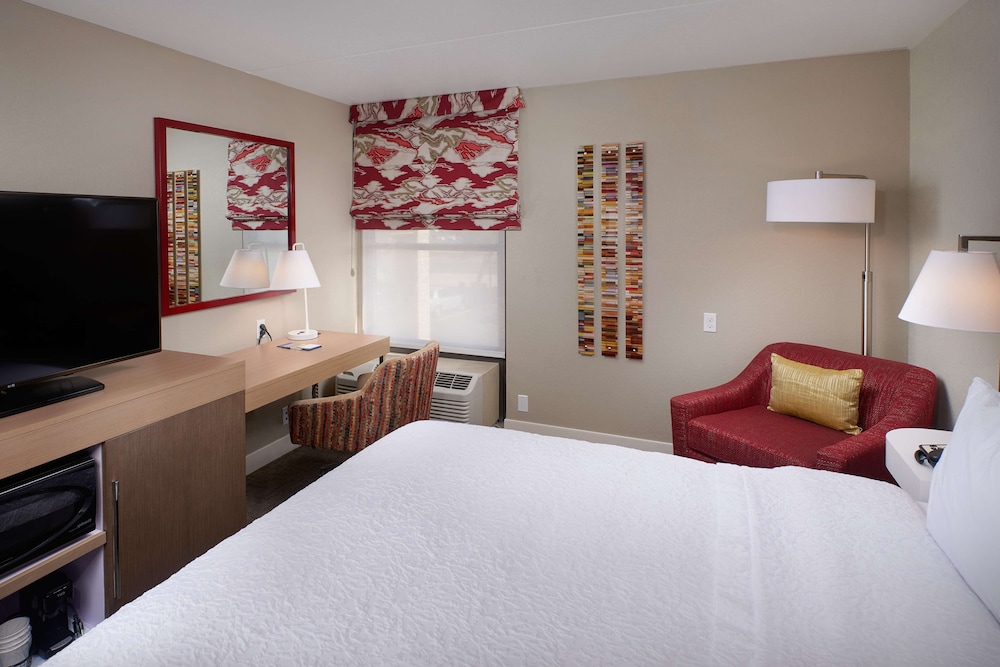 Studio, 1 King Bed, Accessible (Roll-In Shower) - Photo 1