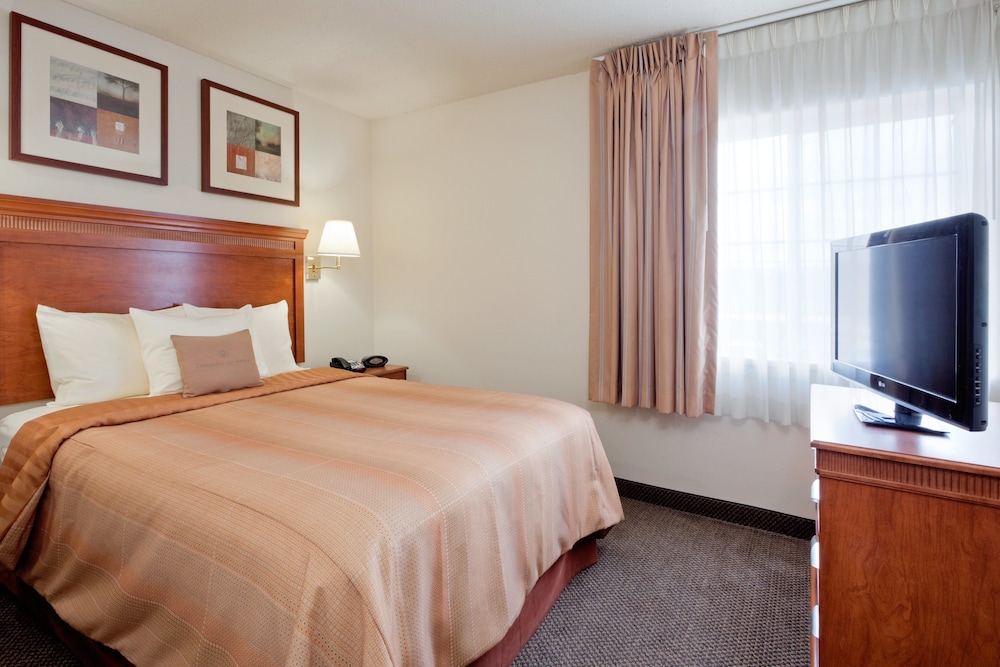 Suite, 1 Bedroom - Photo 3