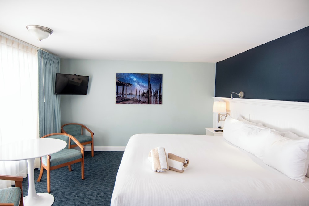 Deluxe Suite photo 3