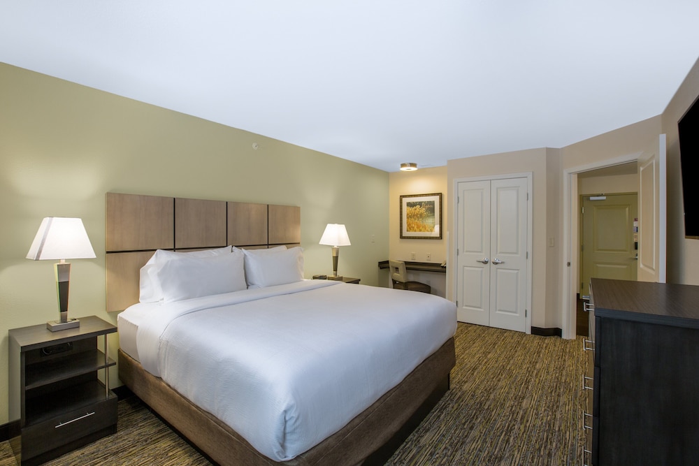 Suite, 1 Bedroom - Photo 1