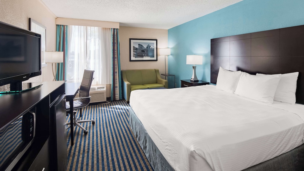 Standard Room, 1 King Bed, Accessible, Refrigerator & Microwave (with Single Sofabed) - Photo 1