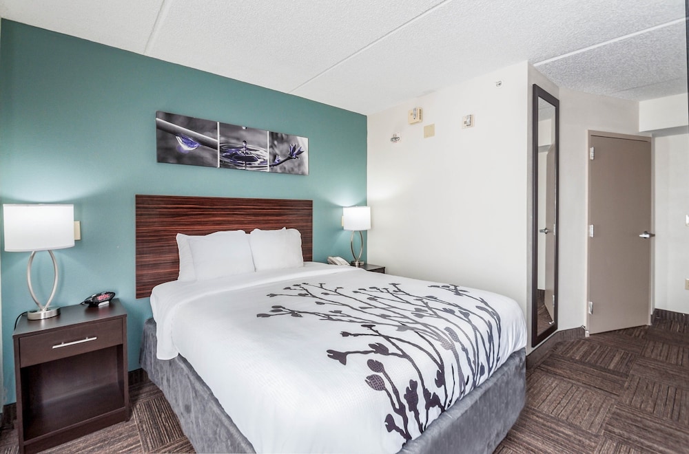 Suite, Non Smoking (2 Queen Beds and Sofa Bed) - Photo 1