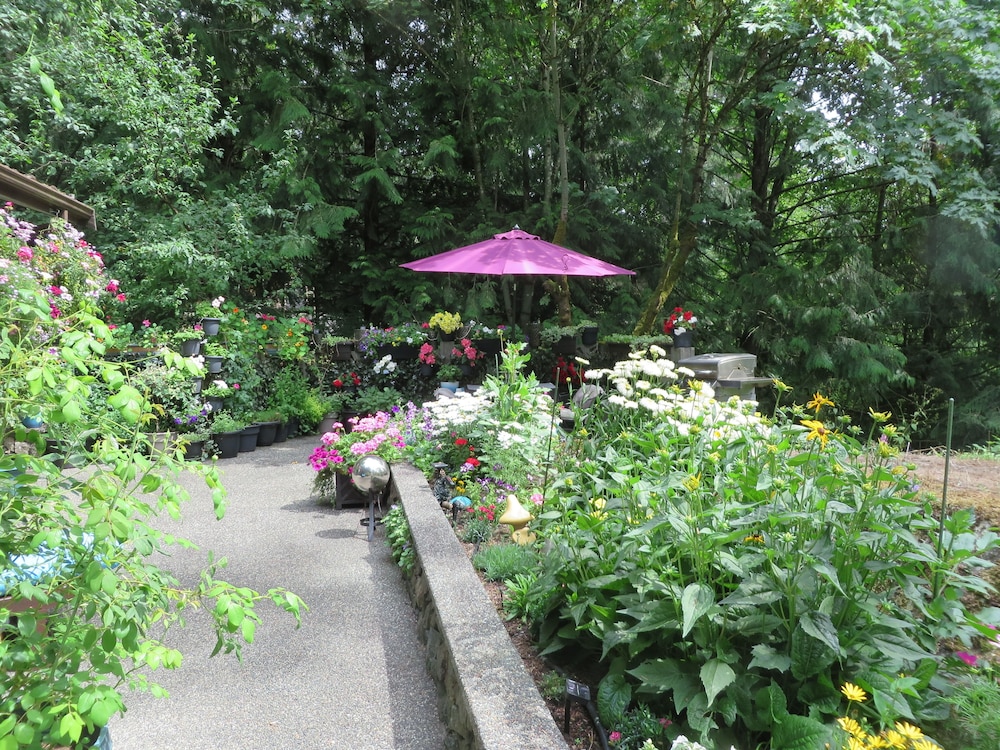 Superior Suite, Multiple Beds, Garden View photo 2