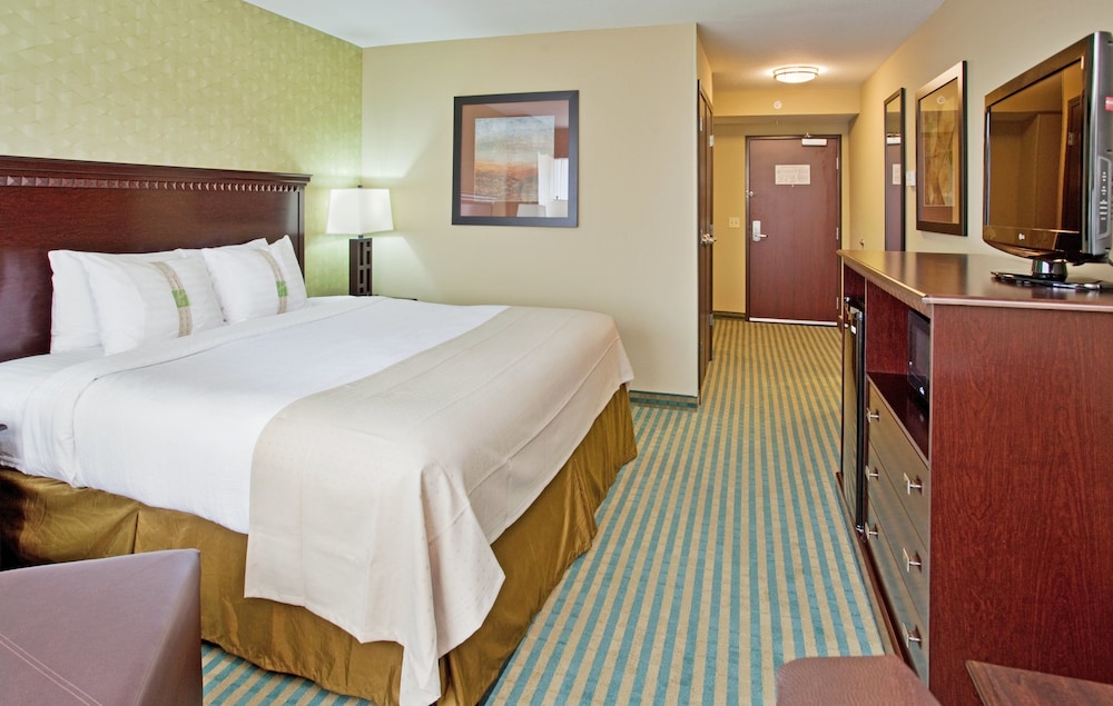 Standard Room, 1 King Bed, Accessible (Hearing, Mobility Tub) - Photo 1