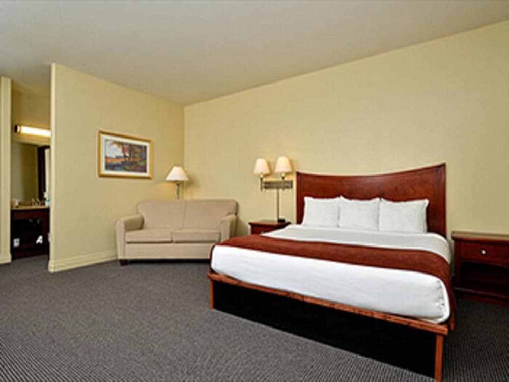 Suite, 1 King Bed photo 1