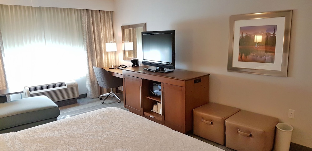 Basic Room, 1 King Bed, Accessible (Roll-In Shower)