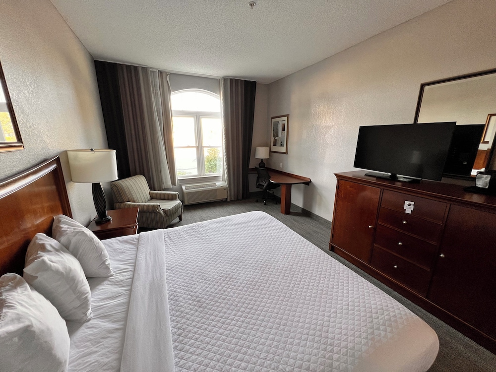 Deluxe Studio Suite, 1 King Bed, Non Smoking photo 2
