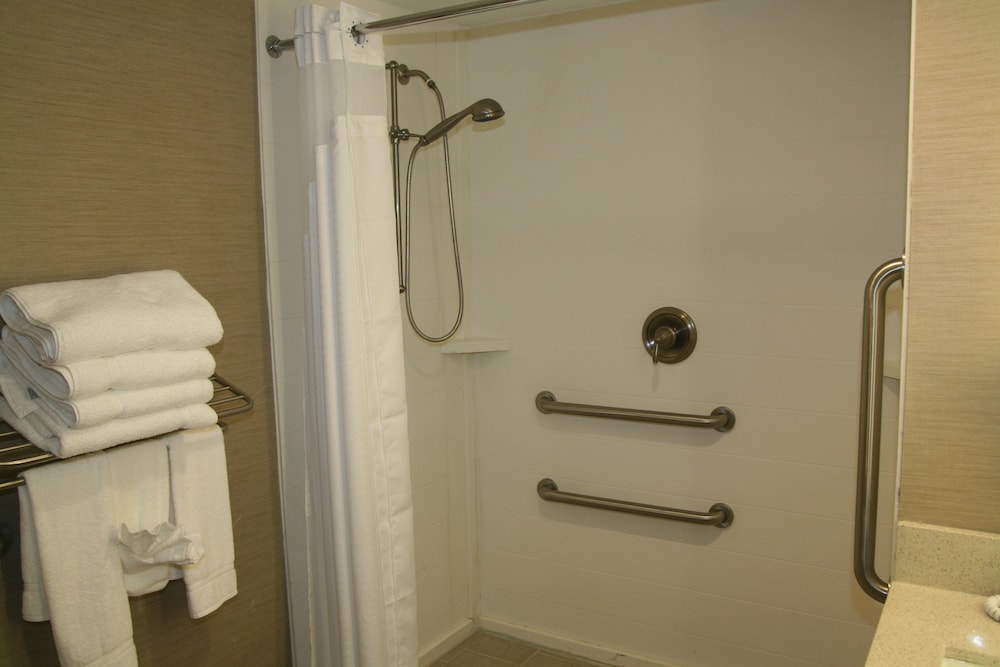 Room, 1 King Bed, Accessible (Roll-In Shower) photo 2