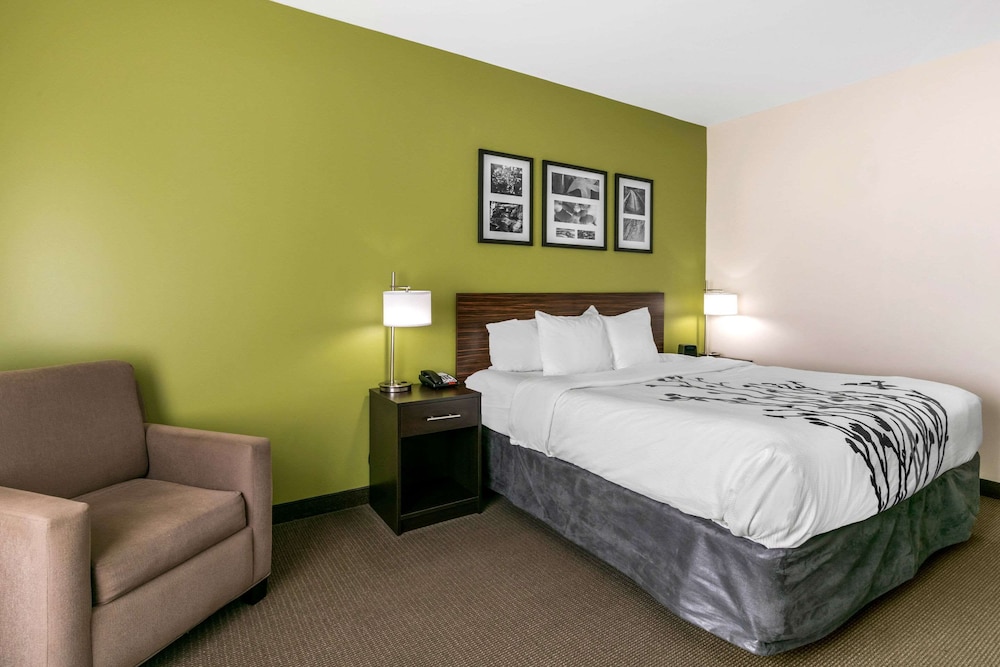 Standard Room, 1 King Bed with Sofa bed, Non Smoking (2 Person Sofa bed) photo 3