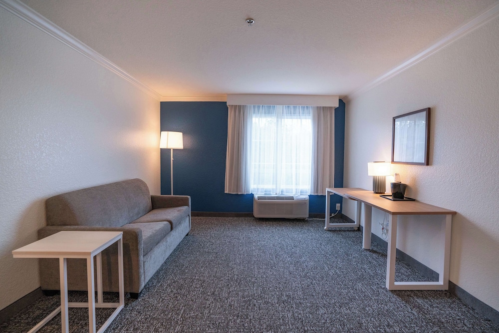 Room, 1 King Bed with Sofa bed, Accessible, Bathtub (Mobility & Hearing) - Photo 1