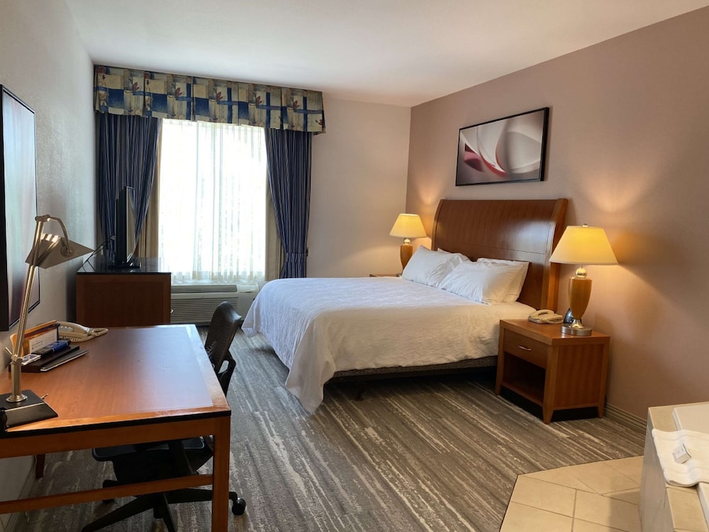 Suite, One King Bed photo 2