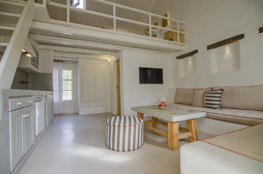 Traditional Studio (Superior) - Photo 19