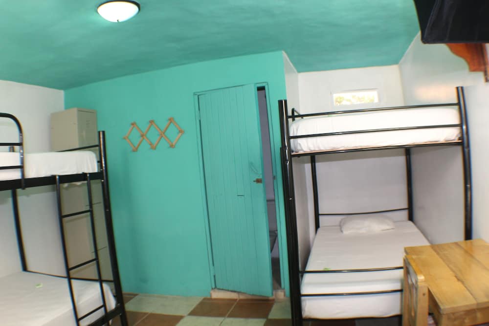 Economy Shared Dormitory, Mixed Dorm photo 3