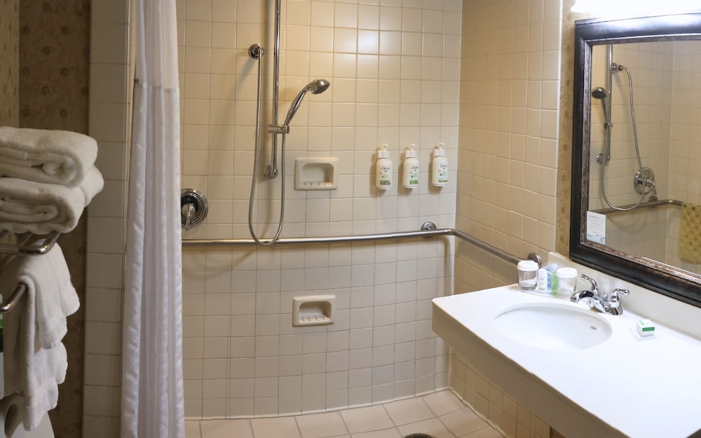 Room, 1 King Bed, Mobility Accessible (Roll-In Shower) - Photo 6