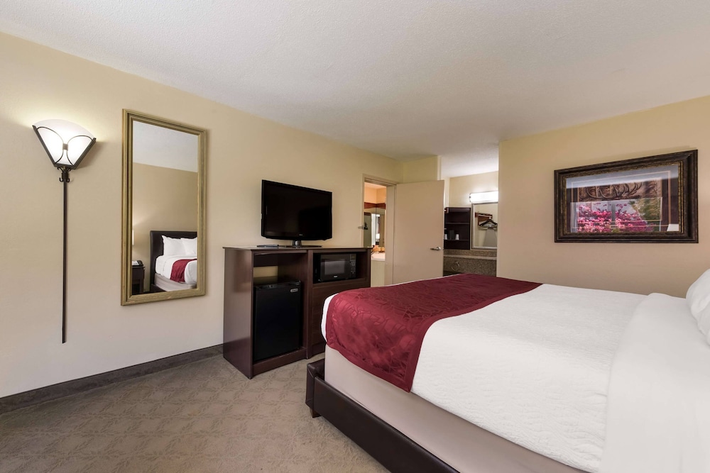 Deluxe Suite photo 3