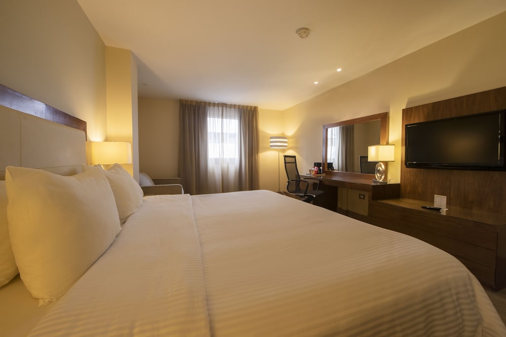 Junior Single Room - Photo 1