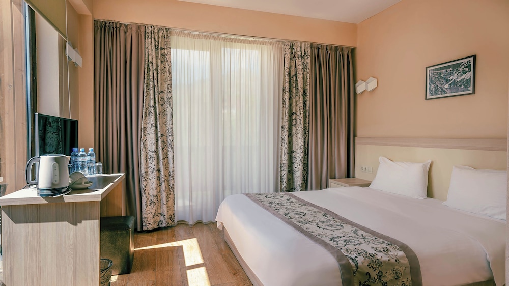 Deluxe Double or Twin Room - Photo 4