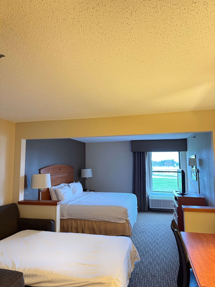 Standard Room, 1 King Bed, Non Smoking, Refrigerator & Microwave (with Sofabed) - Photo 1