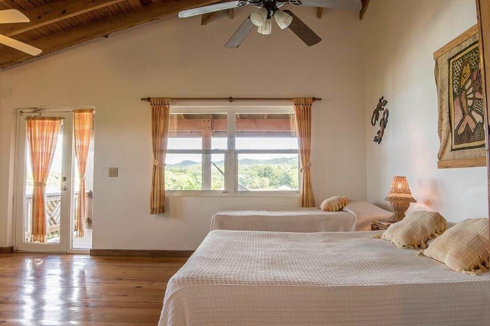 Deluxe Studio with Sea View photo 2