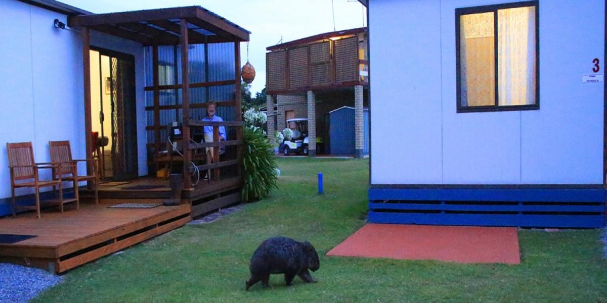Two-Bedroom Bungalow photo 1