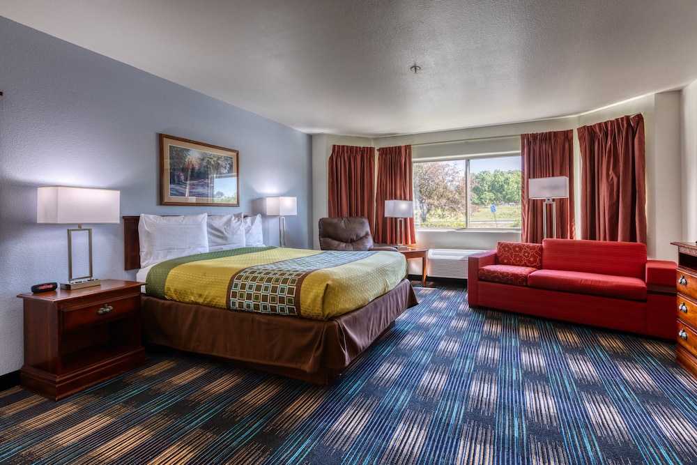 Room, 1 Queen Bed with Sofa bed photo 1