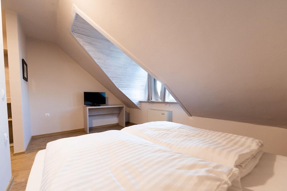 Arena Attic double room photo 2