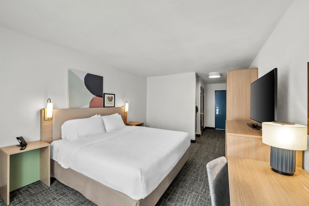 Room, 1 King Bed, Accessible (Mobility & Hearing, Roll-in Shower) - Photo 4