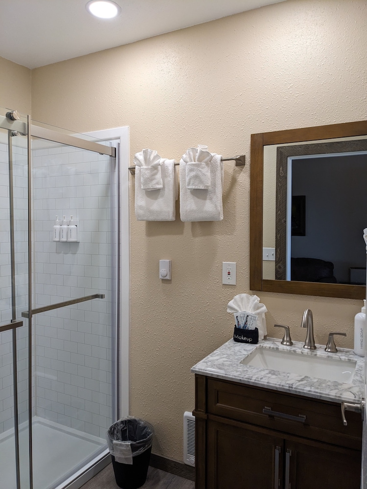 Deluxe King Studio Suite with Full Kitchen, photo 6