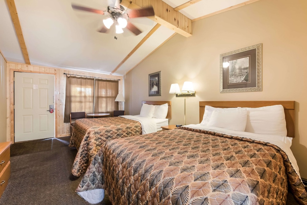 Standard Room, 2 Double Beds, Non Smoking (Pet Friendly) - Photo 3