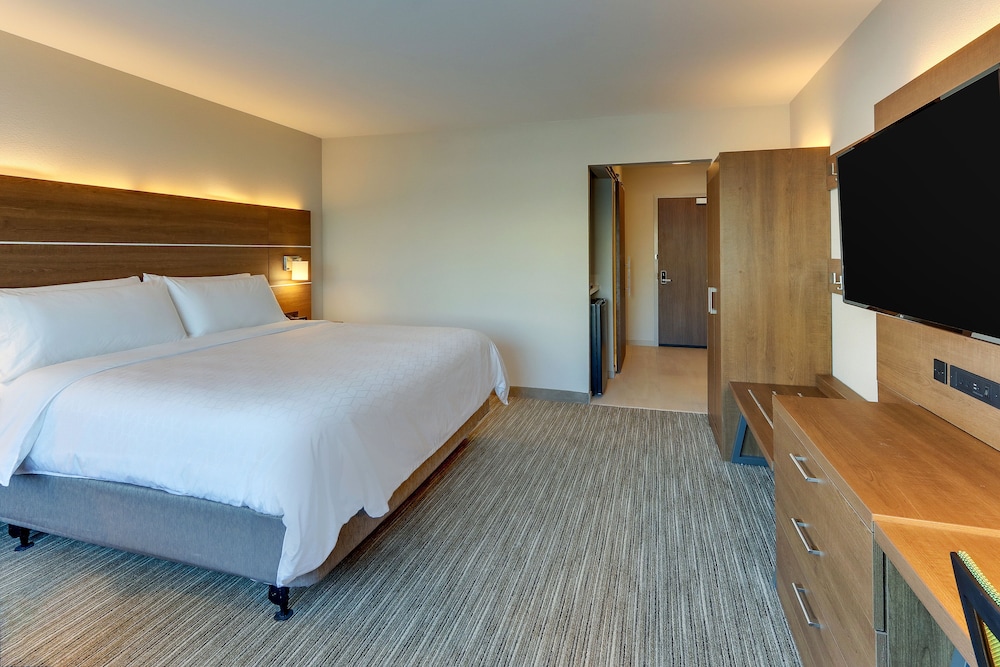 Room, 1 King Bed, Accessible (Roll-In Shower, Extra Floor Space) - Photo 2