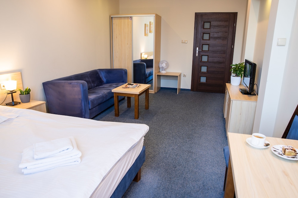 Double Room Single Use, 1 King Bed photo 3