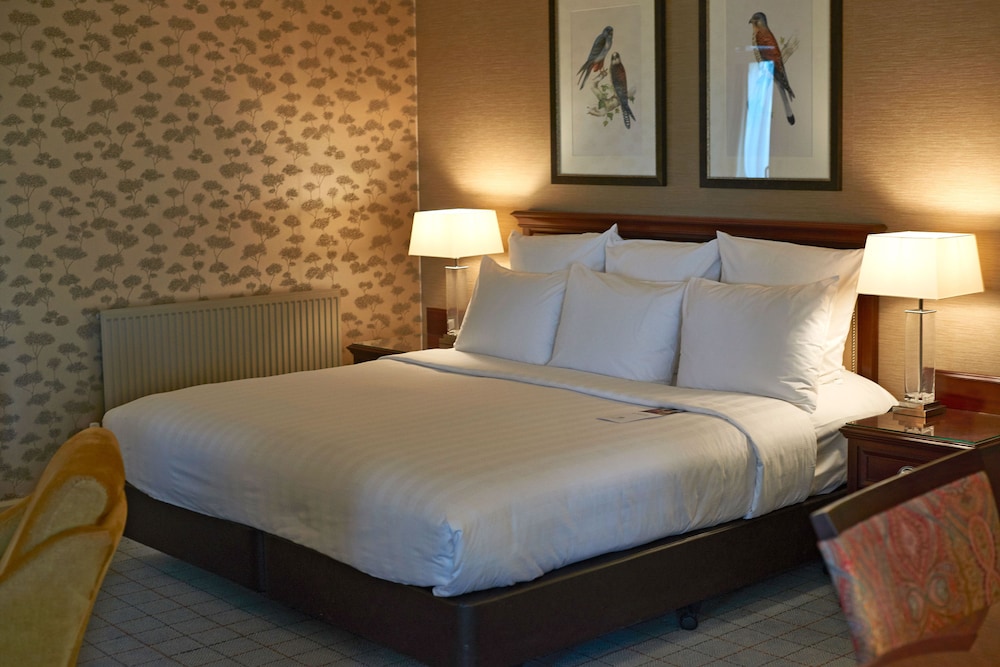 Junior Double Room, 1 King Bed
