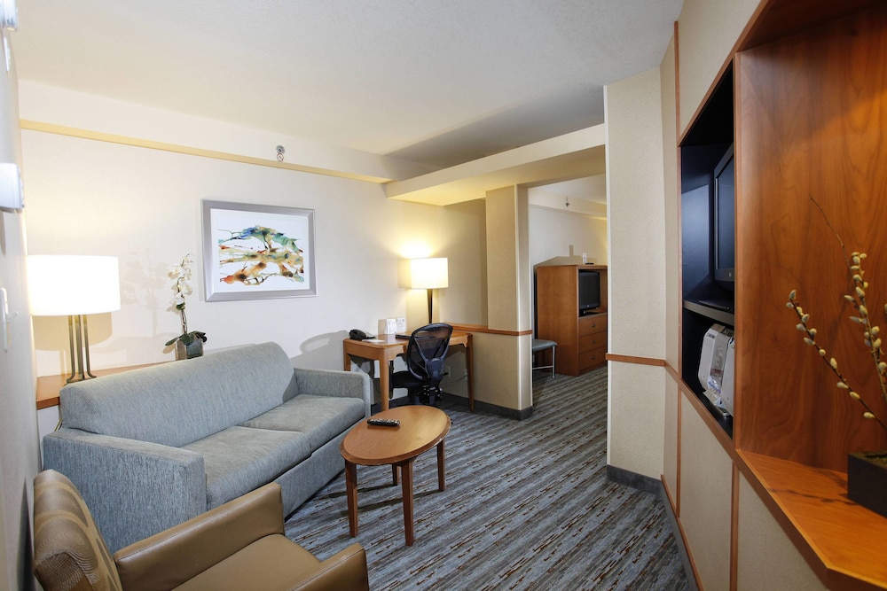 Executive Suite, Multiple Beds photo 3