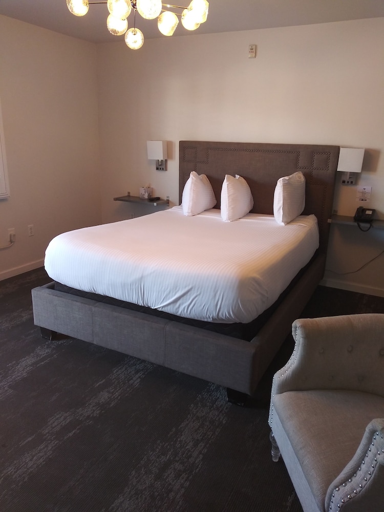 Deluxe Single Room - Photo 1