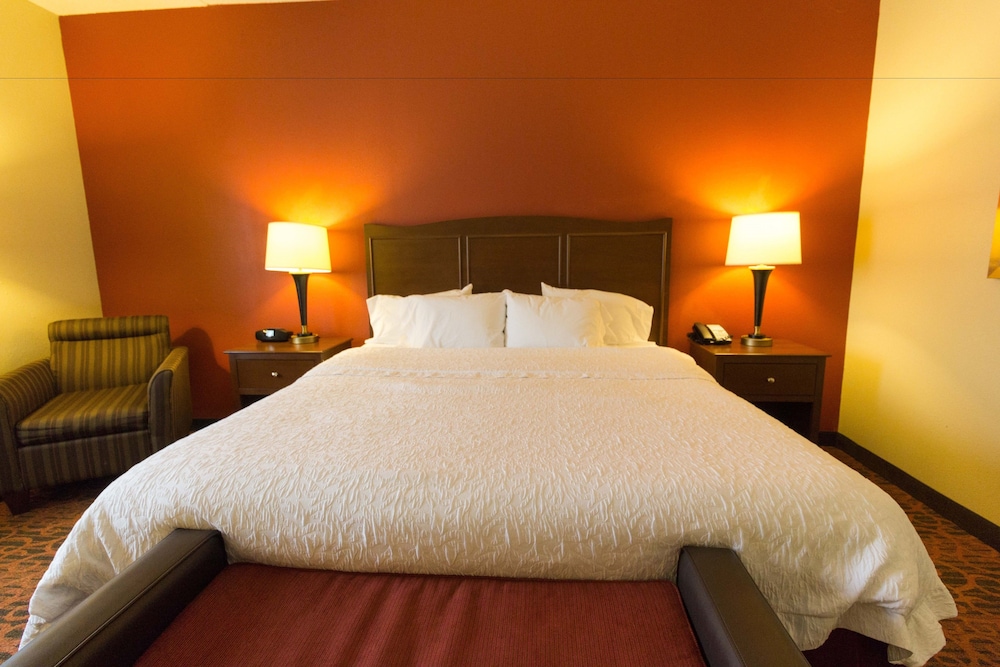Room, 1 King Bed, Accessible, Non Smoking (Roll-in Shower) - Photo 2