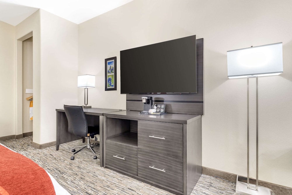 Standard Single Room, 1 King Bed, Non Smoking - Photo 9