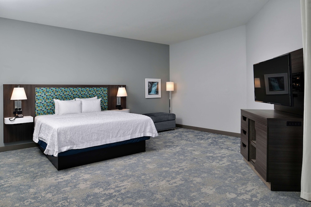 Suite, 1 King Bed, Accessible (Mobility & Hearing, Roll-in Shower) - Photo 7