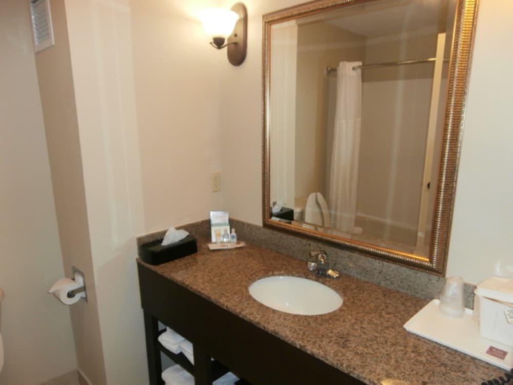Suite, 1 King Bed with Sofa bed, Accessible, Non Smoking - Photo 6