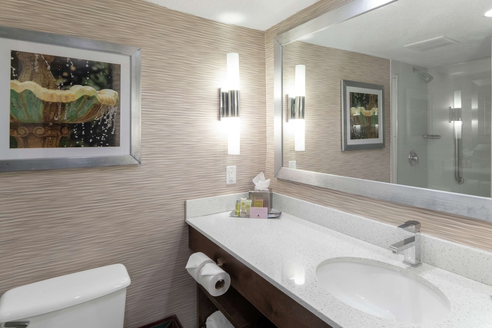 Room, 1 King Bed, Accessible, Hearing Accessible, Roll in Shower - Photo 5