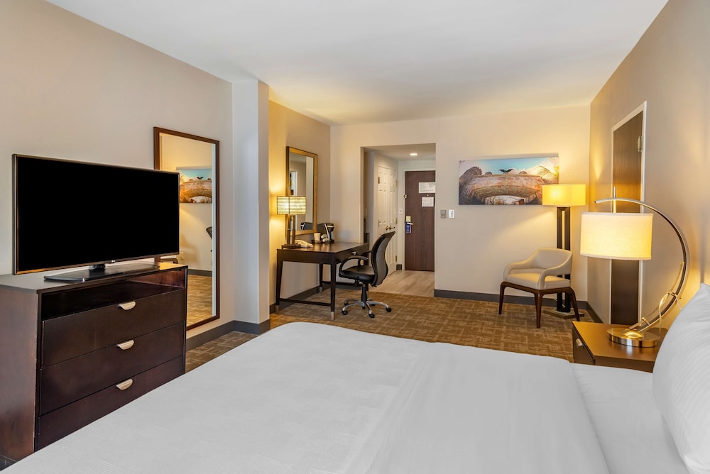 Standard Room, 1 King Bed, Accessible, Refrigerator & Microwave photo 2