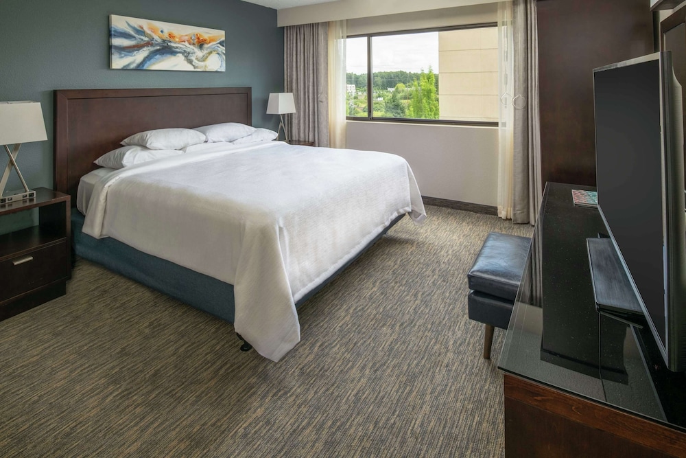 1 King Suite, Mobility/Hearing Access (Bathtub) - Photo 3