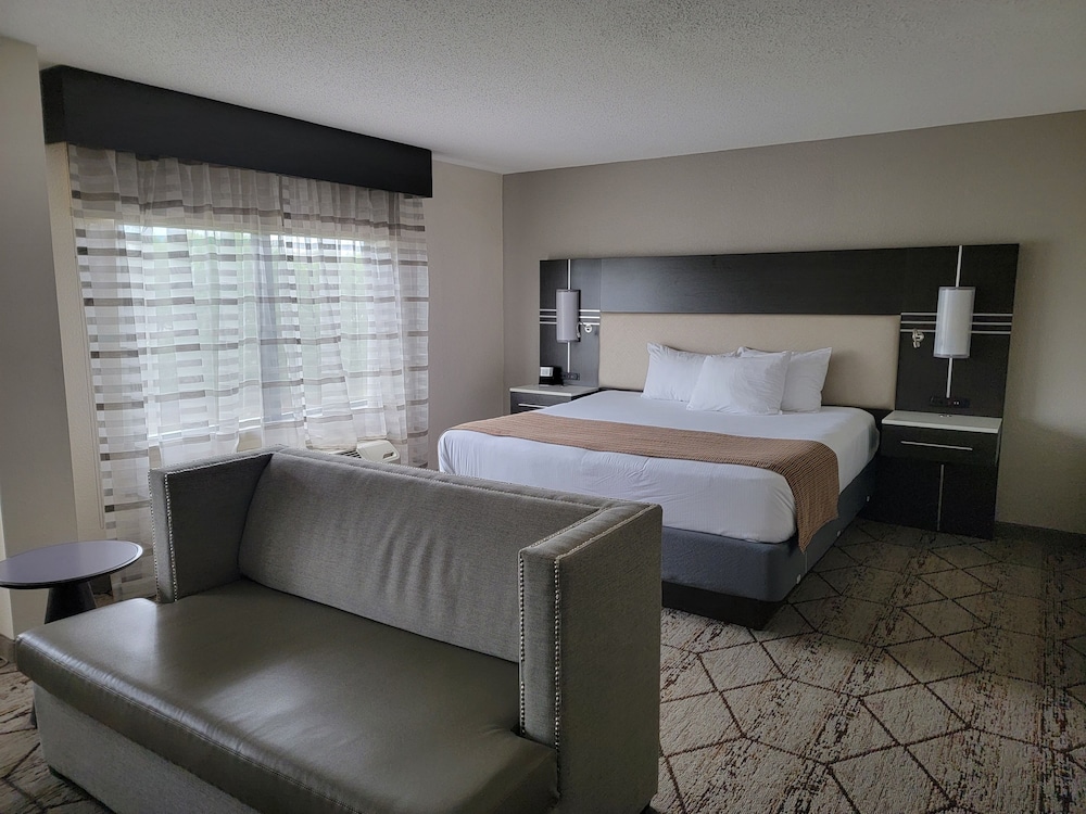 Suite, 1 King Bed photo 1